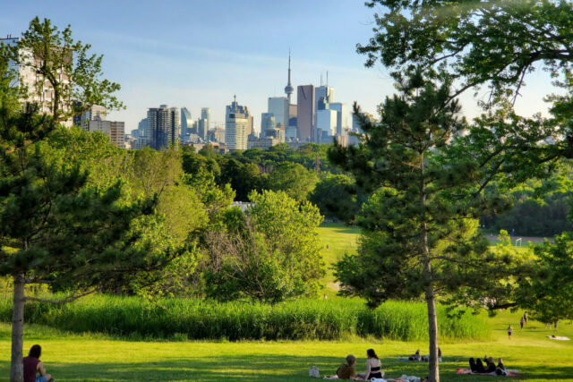 Toronto skyline with the CN Tower viewed from a green city park on a summer afternoon, people relaxing on the grass.